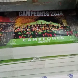 Afiches de SAPRISSA Campeón 2024